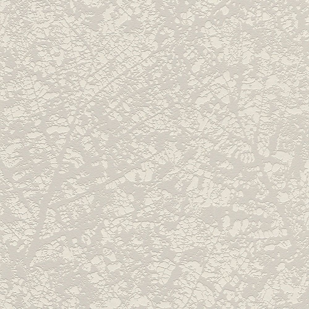 Colección Cato 801231